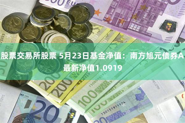 股票交易所股票 5月23日基金净值：南方旭元债券A最新净值1.0919