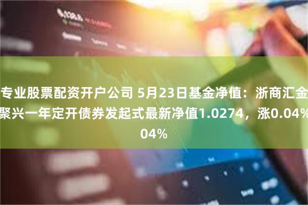 专业股票配资开户公司 5月23日基金净值：浙商汇金聚兴一年定开债券发起式最新净值1.0274，涨0.04%