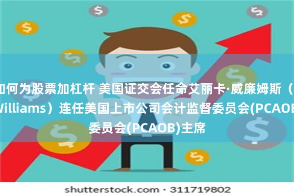 如何为股票加杠杆 美国证交会任命艾丽卡·威廉姆斯（Erica Williams）连任美国上市公司会计监督委员会(PCAOB)主席