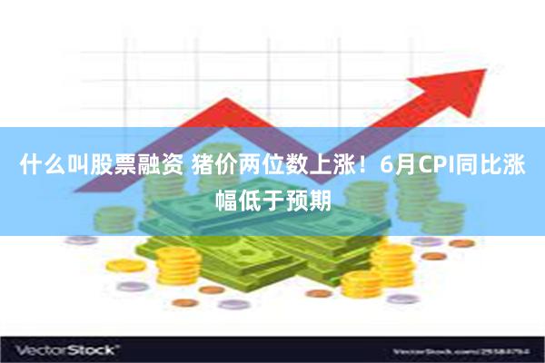 什么叫股票融资 猪价两位数上涨！6月CPI同比涨幅低于预期