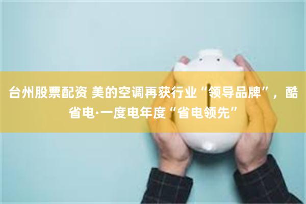台州股票配资 美的空调再获行业“领导品牌”，酷省电·一度电年度“省电领先”