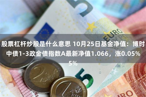 股票杠杆炒股是什么意思 10月25日基金净值：博时中债1-3政金债指数A最新净值1.066，涨0.05%