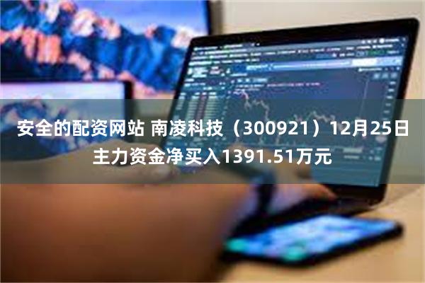 安全的配资网站 南凌科技（300921）12月25日主力资金净买入1391.51万元