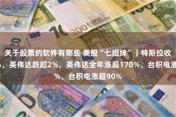 关于股票的软件有哪些 美股“七姐妹”｜特斯拉收跌超3%，英伟达跌超2%，英伟达全年涨超170%、台积电涨超90%