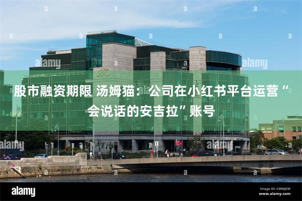 股市融资期限 汤姆猫：公司在小红书平台运营“会说话的安吉拉”账号