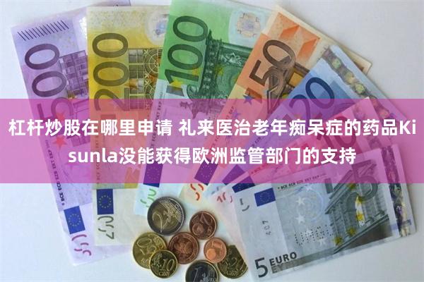杠杆炒股在哪里申请 礼来医治老年痴呆症的药品Kisunla没能获得欧洲监管部门的支持