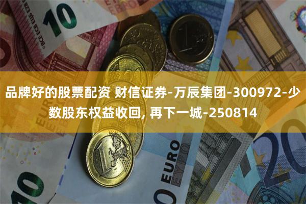 品牌好的股票配资 财信证券-万辰集团-300972-少数股东